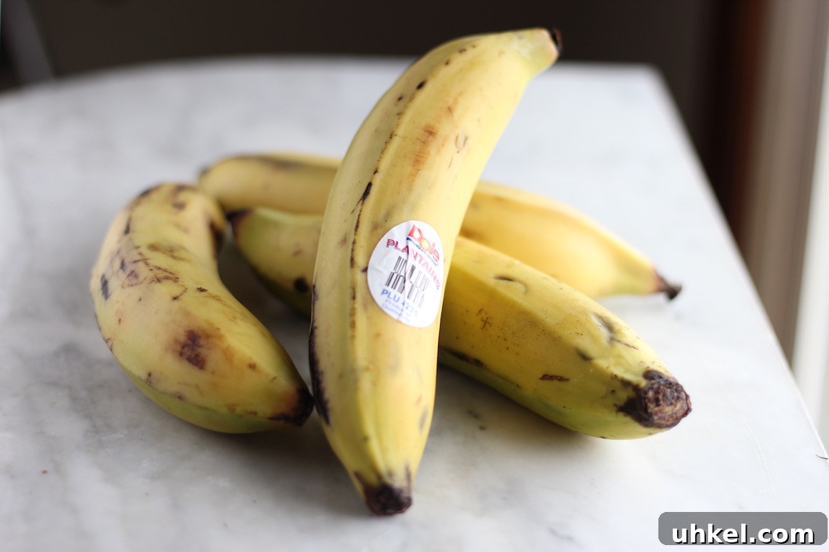 Sweet and Savory Fried Plantains - a versatile recipe that you can make two ways! Sweet, with cinnamon and coconut butter, or savory, with garlic and sea salt! Both make delicious snacks! | fedandfulfilled.com