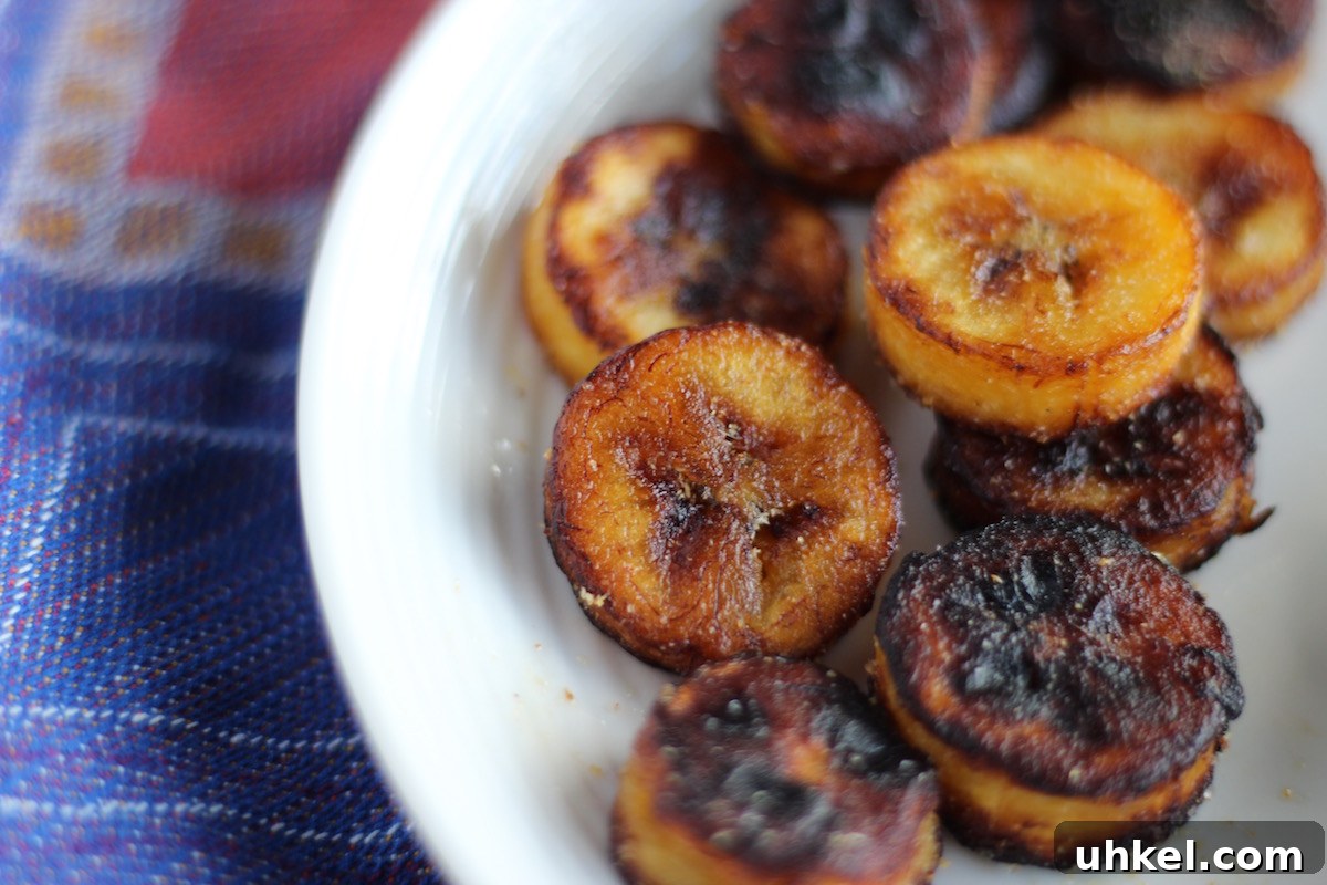 Crispy Sweet & Savory Fried Plantains (AIP-Friendly) 4 Sweet and Savory Fried Plantains - plantains are fried up and seasoned two ways: one with coconut butter and cinnamon, the other with garlic and sea salt! So addictively good! | fedandfulfilled.com
