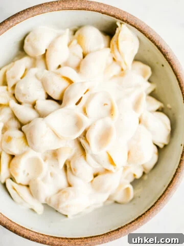 Pasta with alfredo sauce in a rustic bowl.