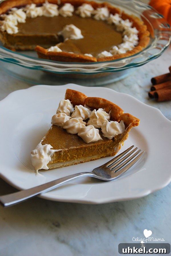 dairy-free-gluten-free-pumpkin-pie