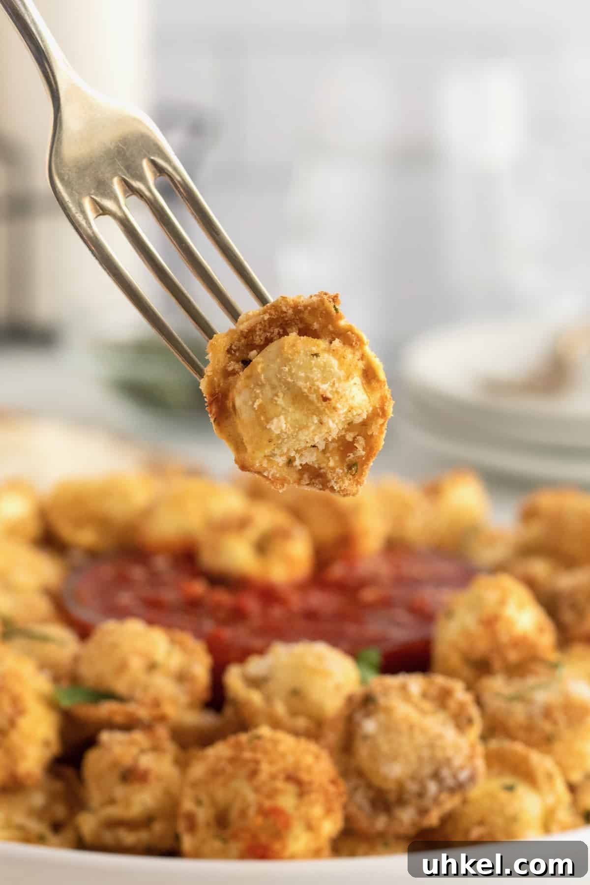 Toasted Tortellini Bites by The BakerMama