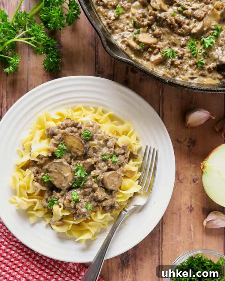 Creamy Ground Beef Stroganoff with Greek Yogurt 2 Ground Beef Stroganoff {with Greek Yogurt}