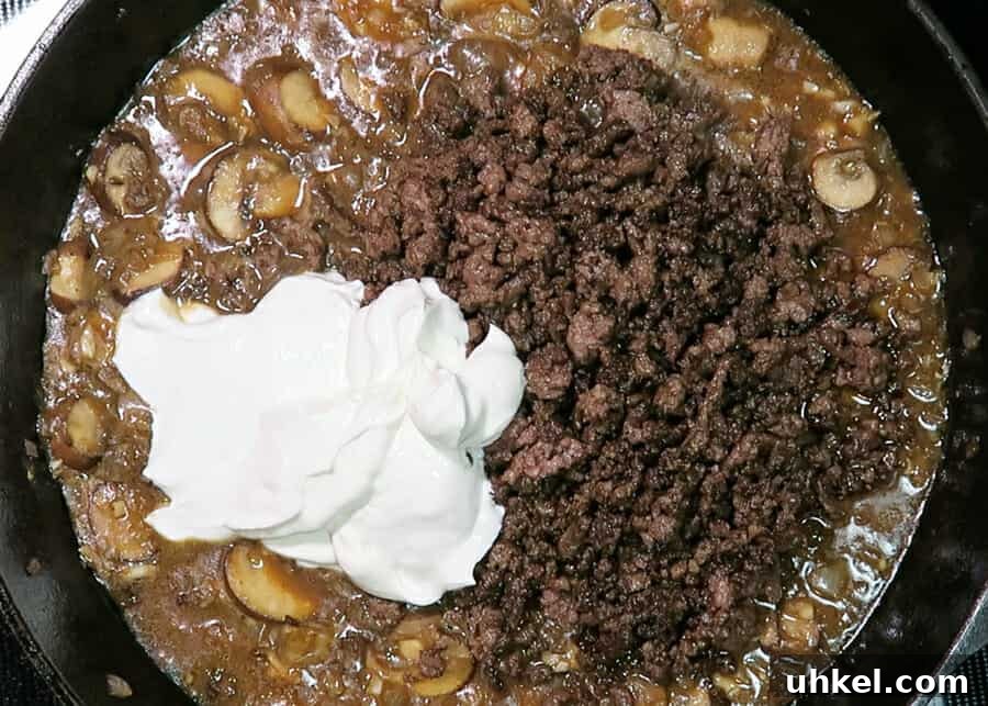 Creamy Ground Beef Stroganoff with Greek Yogurt 12 img 2579 11