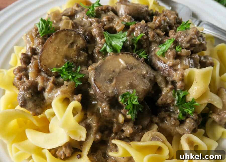Creamy Ground Beef Stroganoff with Greek Yogurt 14 img 2579 14