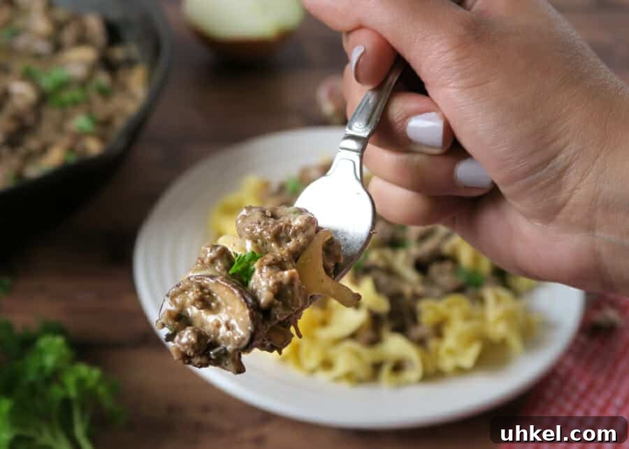 Creamy Ground Beef Stroganoff with Greek Yogurt 16 img 2579 16
