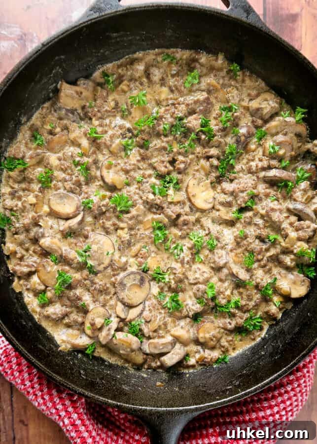 Creamy Ground Beef Stroganoff with Greek Yogurt 3 Ground Beef Stroganoff {with Greek Yogurt}