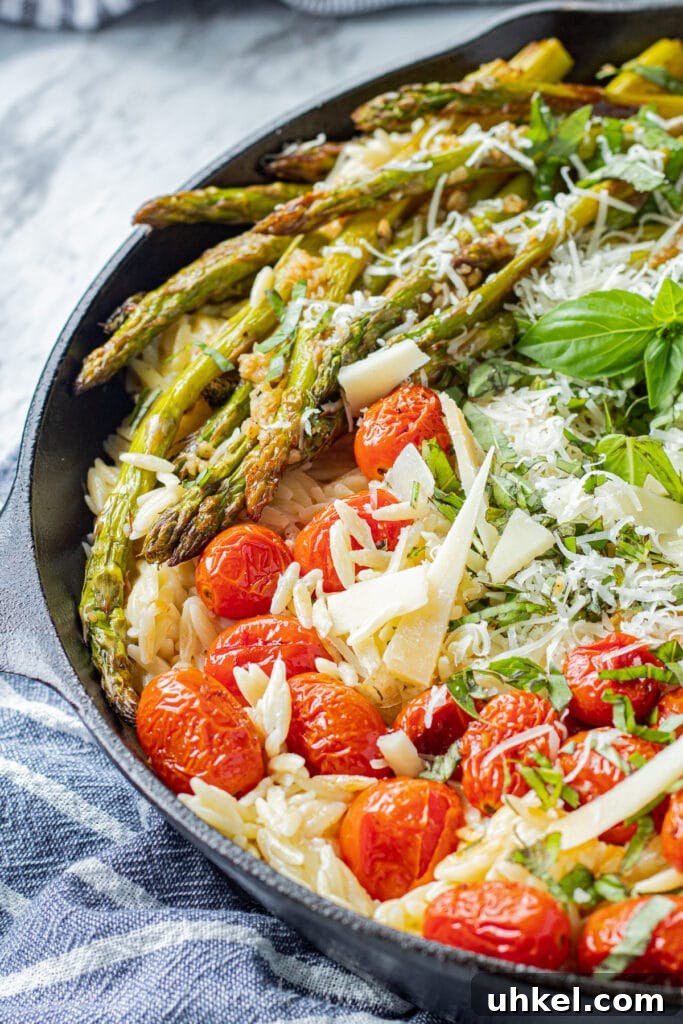 Creamy Orzo with Oven-Roasted Asparagus and Parmesan 6 side view of Black pan of cooked orzo, roasted asparagus and tomatoes, parmesan cheese on top with blue tea towel.