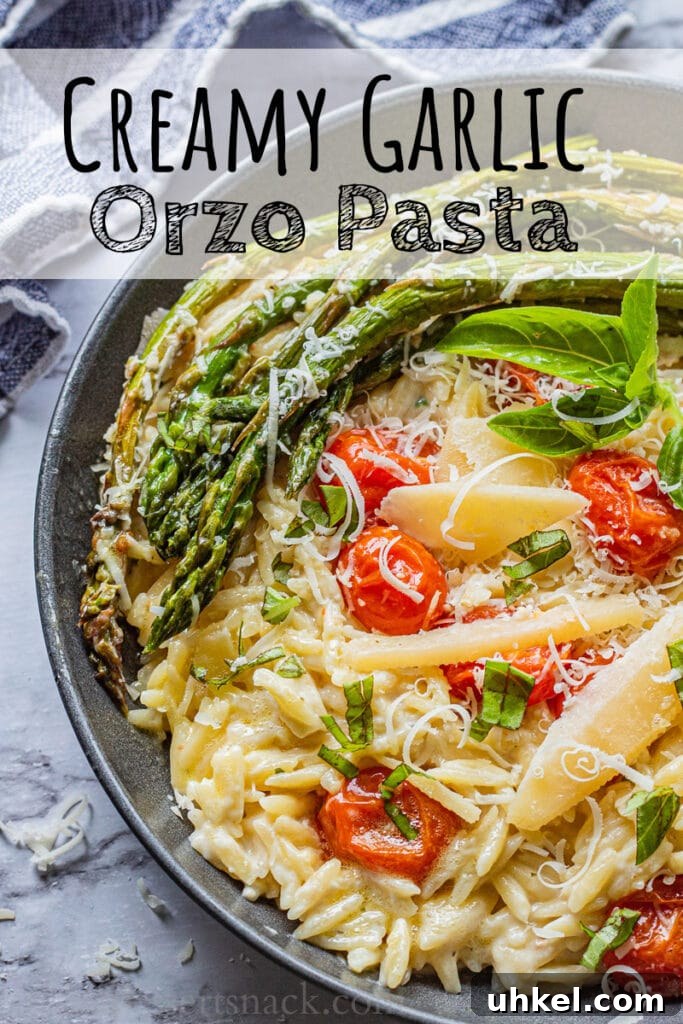 Creamy Orzo with Oven-Roasted Asparagus and Parmesan 7 Overhead view of cooked orzo pasta with tomatoes, asparagus, parmesan and basil leaves. Text on photo: creamy garlic orzo pasta