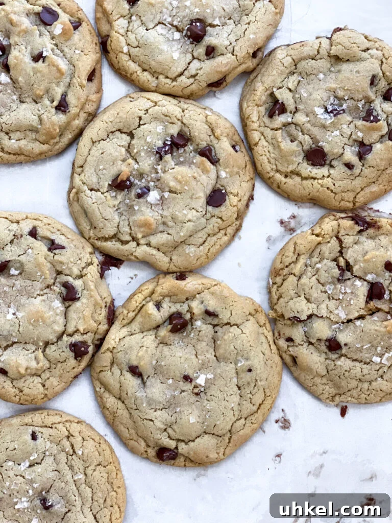 Chewy Chocolate Chip Cookies Without Butter: Soft & Updated Recipe 2 no butter chocolate chip cookies pushed close together