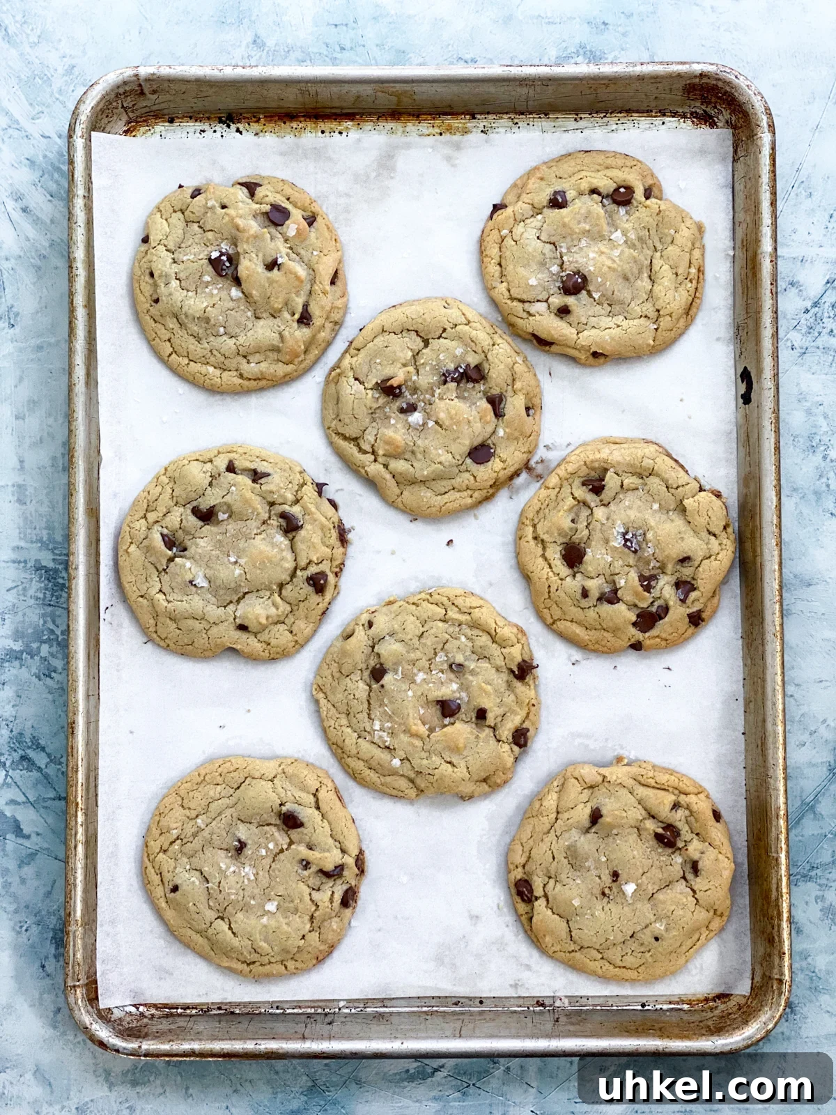 Chewy Chocolate Chip Cookies Without Butter: Soft & Updated Recipe 13 cookies done baking.