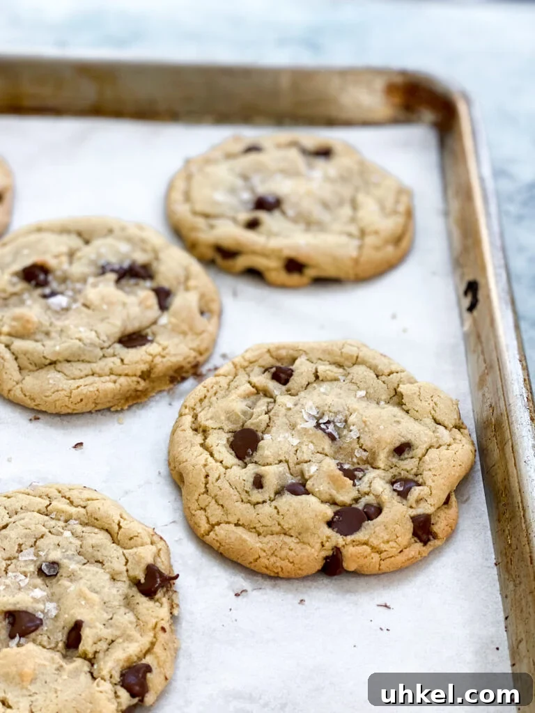 Chewy Chocolate Chip Cookies Without Butter: Soft & Updated Recipe 14 close up of no butter cookies on pan after baking