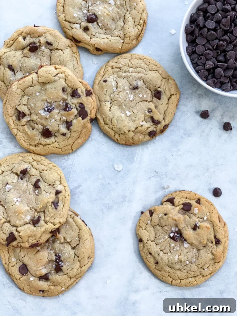 Chewy Chocolate Chip Cookies Without Butter: Soft & Updated Recipe 15 no butter chocolate chip cookies with bowl of chocolate chips