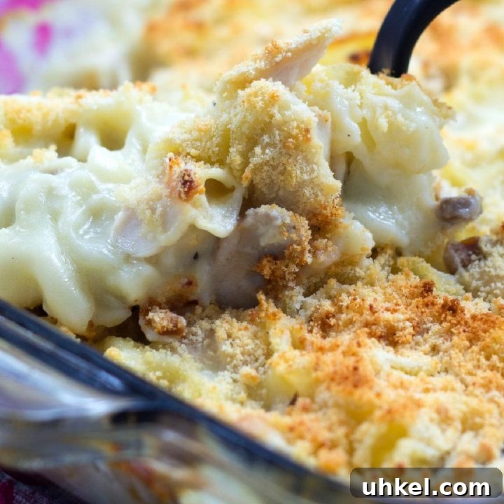 A dish of Savory Chicken and Mushroom Bake