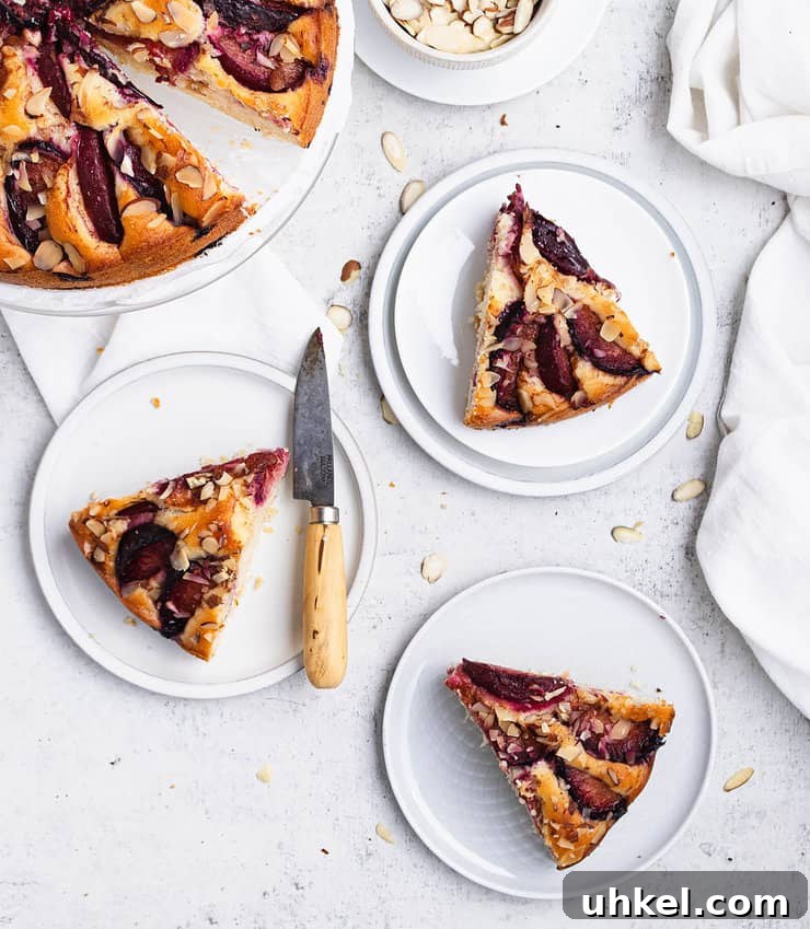 Top Fall Cakes to Bake This Season 6 Slices of yogurt plum cake arranged on white and blue dessert plates with a small pairing knife near by.