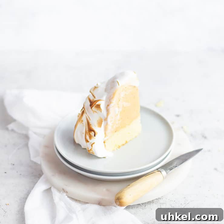 Top Fall Cakes to Bake This Season 9 single slice of cake on a plate