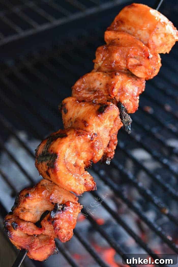11 Delicious Grilled Skewer Recipes: Chicken, Shrimp, Tofu & Beef 6 Grilled Spicy BBQ Chicken Skewers