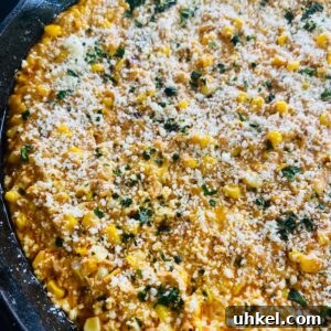 Blackstone Street Corn Dip Recipe for Grilled Skillet Corn 18 Blackstone Street Corn Dip