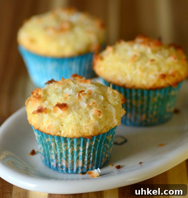 Baking Bites: Top 10 Most-Popular Recipes of 2017 11 One Bowl Coconut Muffins
