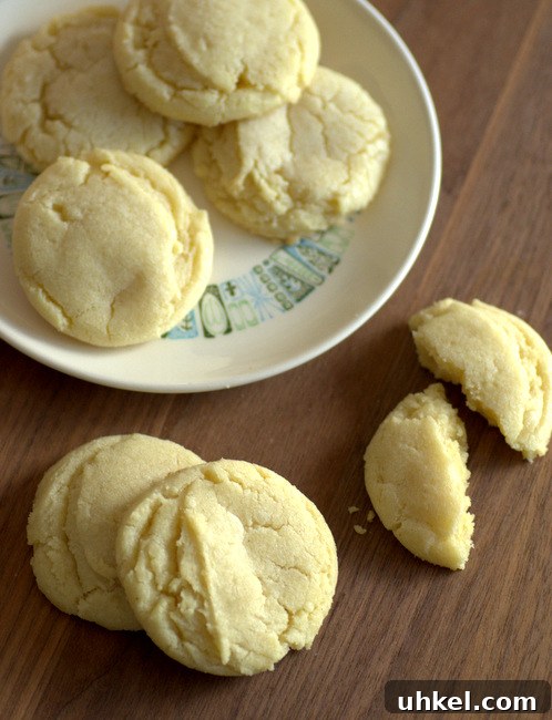 Baking Bites: Top 10 Most-Popular Recipes of 2017 12 The Best No-Mixer Sugar Cookies