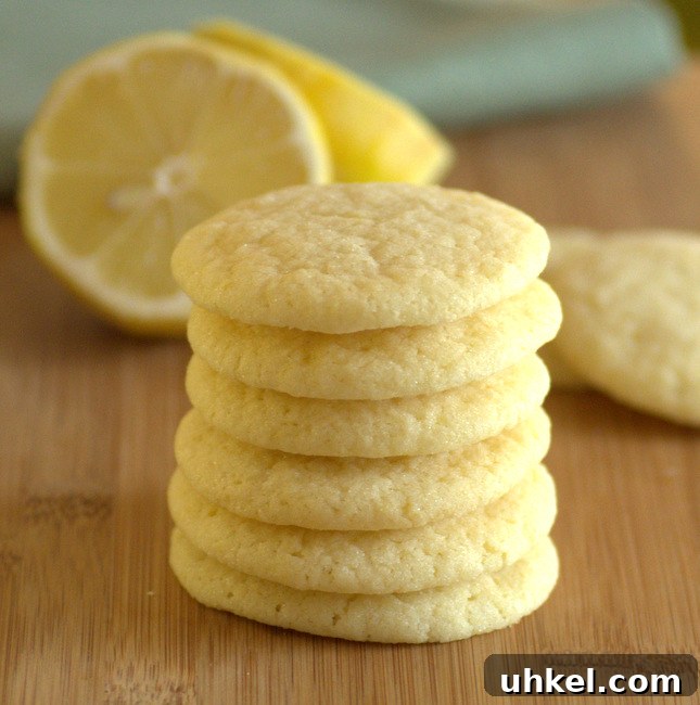 Baking Bites: Top 10 Most-Popular Recipes of 2017 5 Meyer Lemon Snickerdoodles