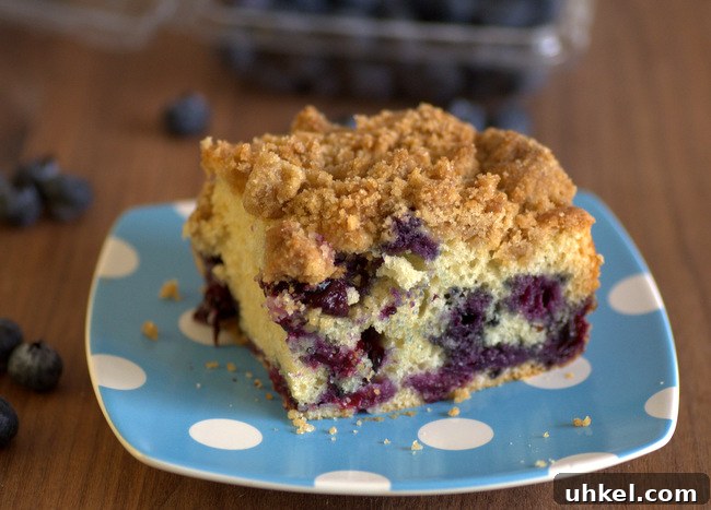 Baking Bites: Top 10 Most-Popular Recipes of 2017 8 Sour Cream Blueberry Coffee Cake with Brown Sugar Streusel