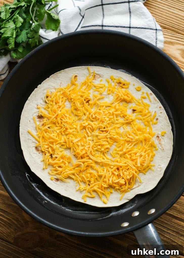 Chicken and Avocado Wrap Recipe for Quick Weeknight Meals 4 shredded cheese on tortilla in a skillet