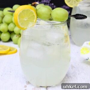 Cîroc Lemonade Spritzer Recipe — Refreshing Vodka Limonata Spritz 9 vodka lemonade spritzer recipe dinners done quick featured image