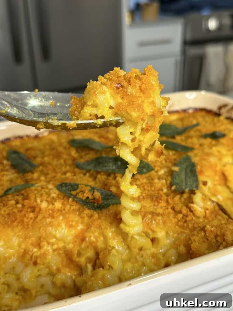 Butternut Squash Mac and Cheese with Calabrian Chili Sage Breadcrumbs 3 img 3112 2