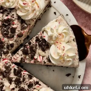 Peppermint Oreo cheesecake slice on spatula before being pulled from the pie dish.