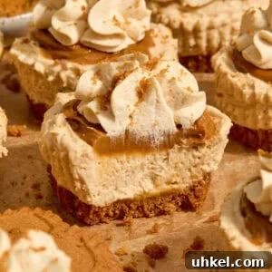 Mini biscoff cookie butter cheesecakes on parchment topped with whipped cream.