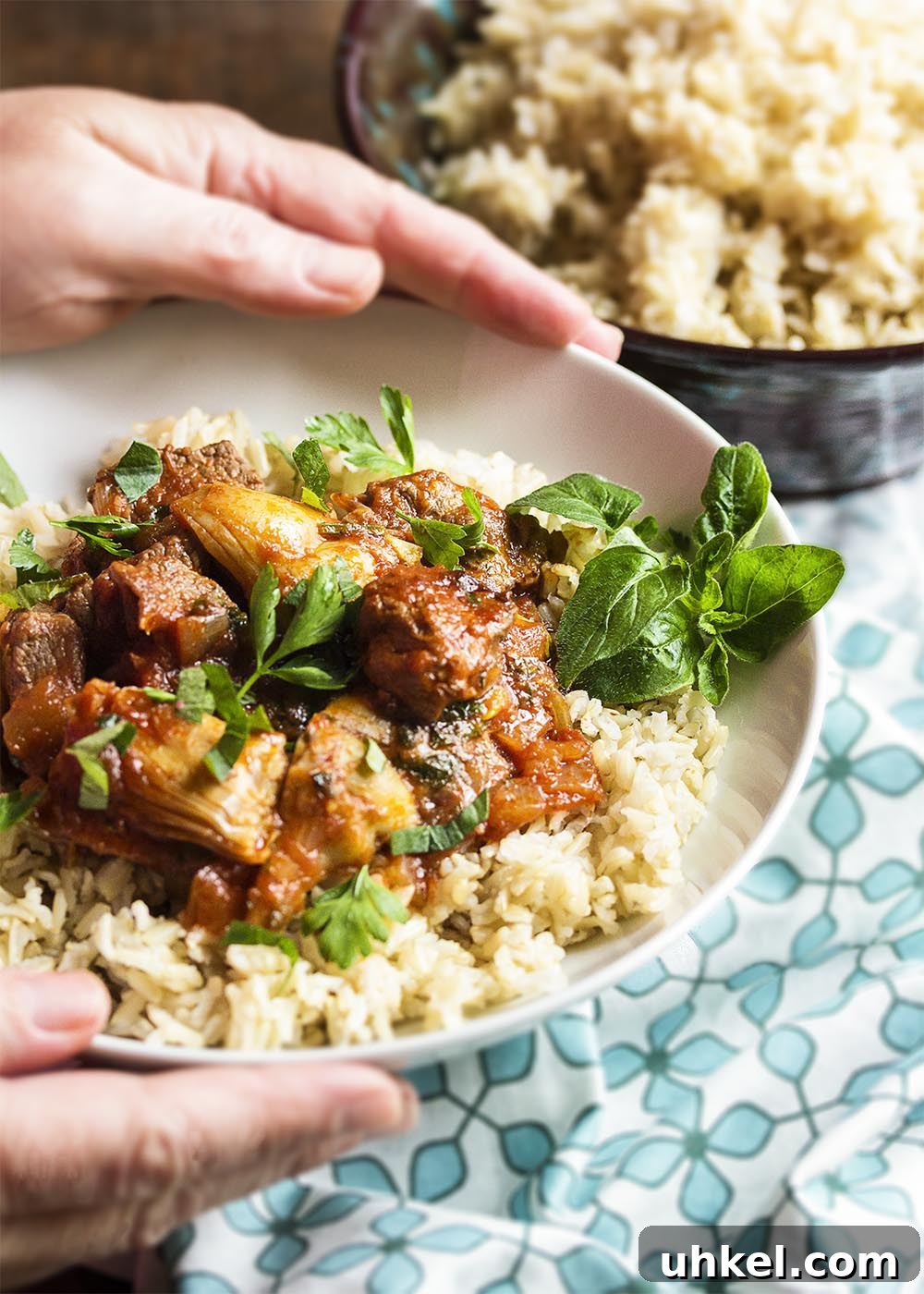 Lamb and Artichoke Stew Hands holding up a bowl of brown rice topped with lamb and artichoke stew. Fresh parsley and oregano scattered over the top.