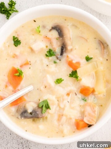 Creamy soup with rice and turkey in a bowl.