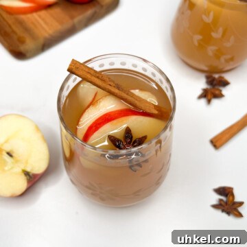 Spiced Crockpot Apple Cider — Alcohol-Free, No Added Sugar 5 img 325810 4