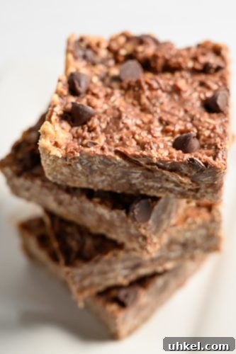 4-Ingredient Peanut Butter Oat Bars Recipe for Quick Snacks 6 4 Ingredient Peanut Butter Oat Bars in a stack on a plate.