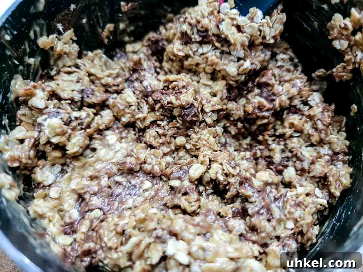 4-Ingredient Peanut Butter Oat Bars Recipe for Quick Snacks 4 oats, chocolate chips, peanut butter, and honey in a pan.