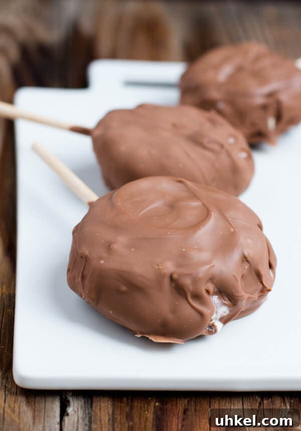 milk-chocolate-dipped-ice-cream-sandwiches-ohsweetbasil.com-4