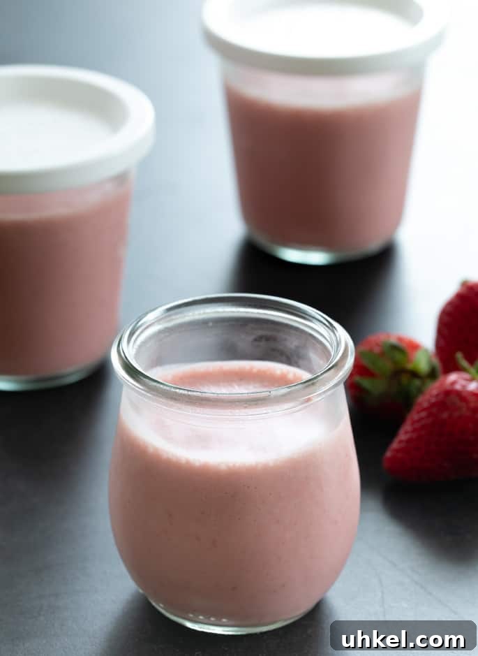 Whipped Jell-O Style Gelatin Dessert Recipe 3 This easy whipped JELLO-style gelatin recipe with a mousse-like texture and fresh fruit flavor is the perfect no-bake easy, light dessert for warmer months.