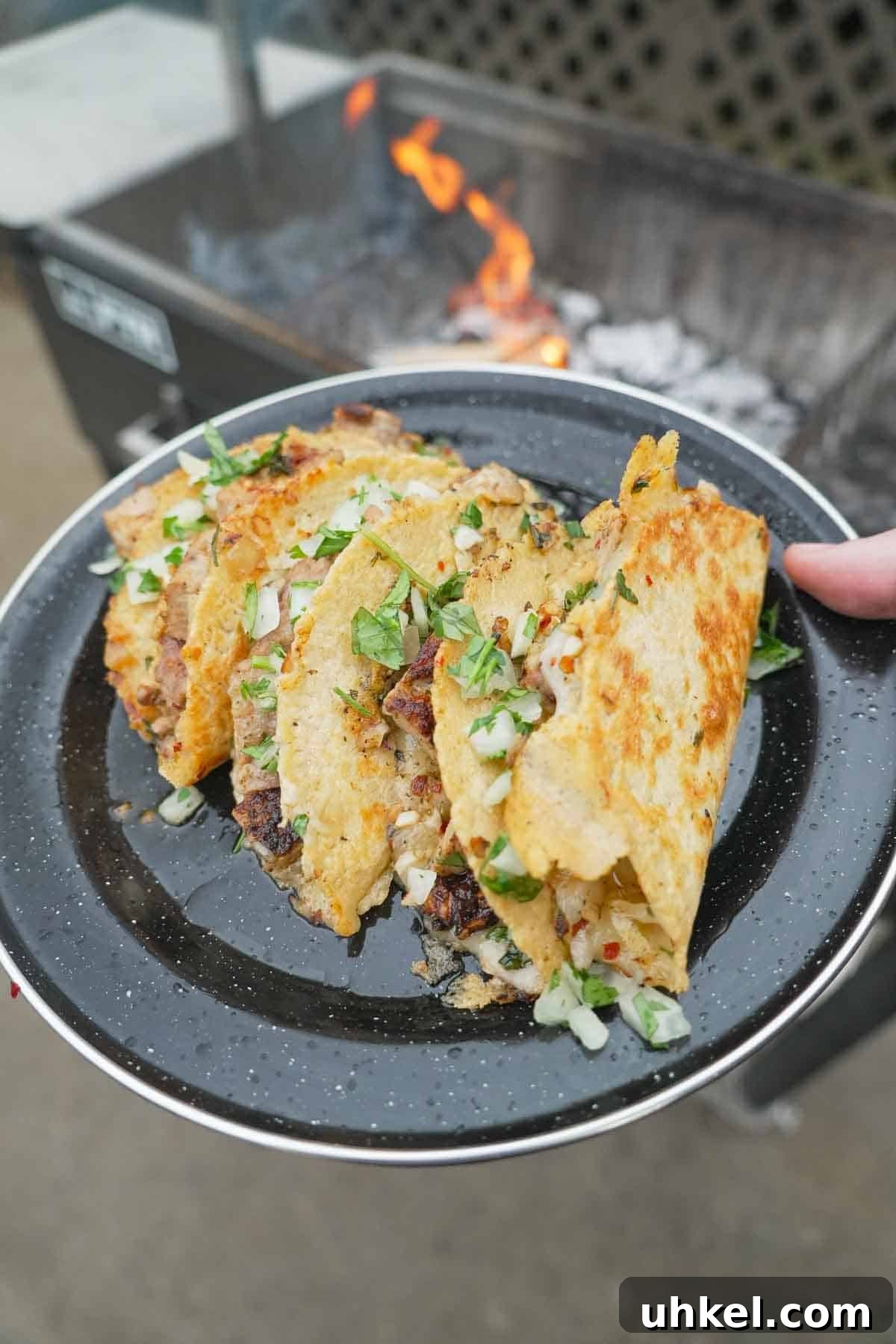 Garlic Shrimp Tacos with Spanish Flavors 2 A hand holding a plate with three Spanish garlic tacos, with pork skirt steak, Manchego cheese and garlic herb sauce