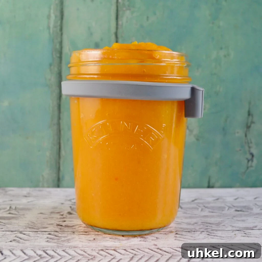 10 Gluten- and Dairy-Free Pumpkin Recipes for Fall 2 pumpkin puree
