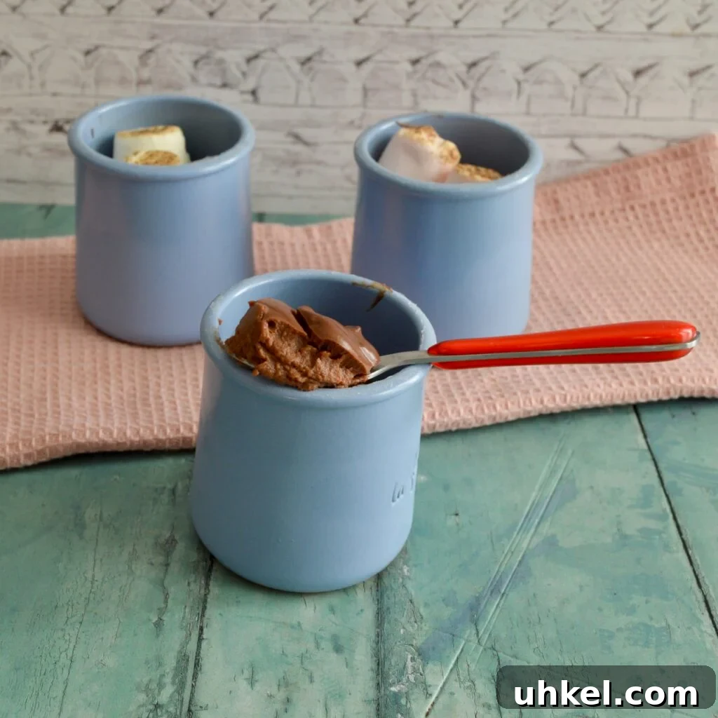 10 Gluten- and Dairy-Free Pumpkin Recipes for Fall 11 pumpkin chocolate pudding