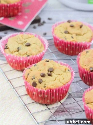 Chocolate chip protein muffins in pink muffin liners on a cooling rack and chocolate chips and another muffin behind the rack.