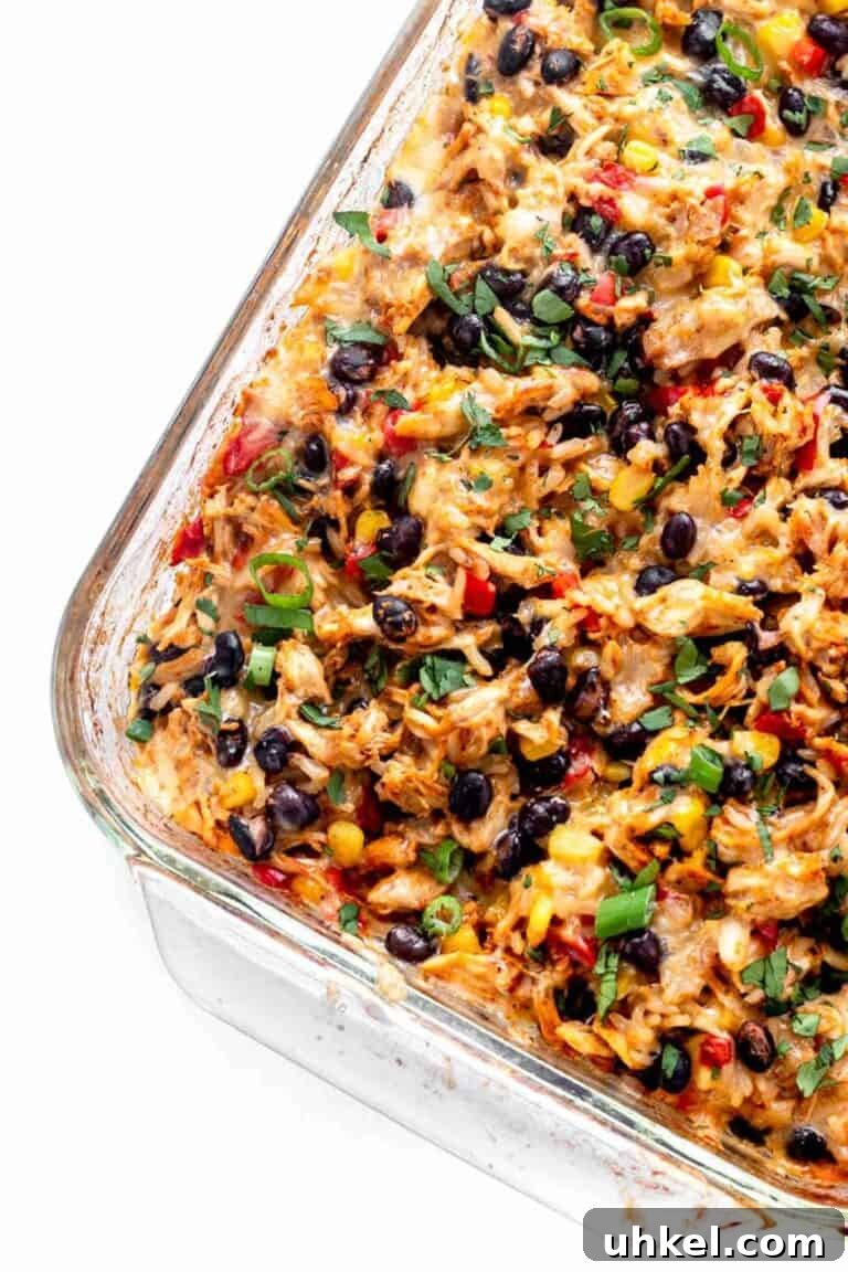 A burrito casserole made with chicken, black beans, rice and cheese. 
