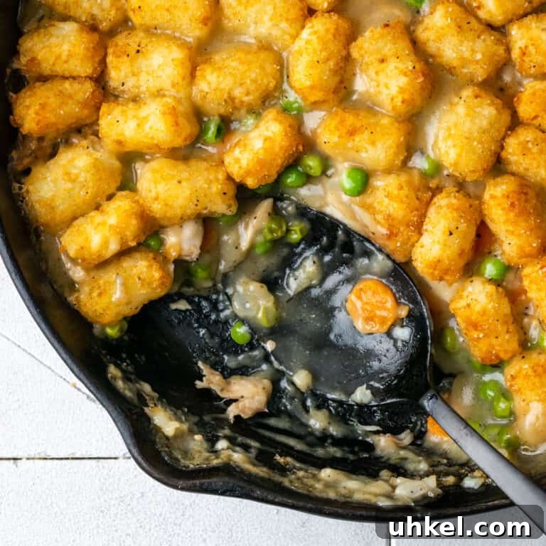 A gluten free chicken casserole topped with tater tots in a cast iron skillet.