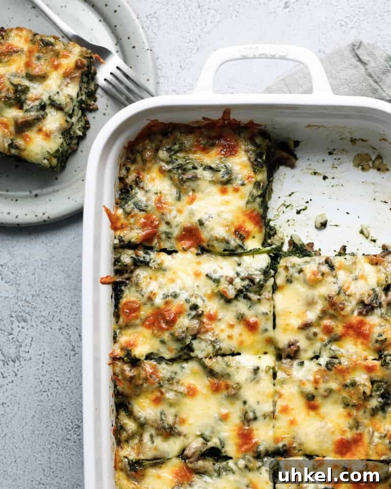 A spinach and beef casserole cut into squares in a large baking dish. 