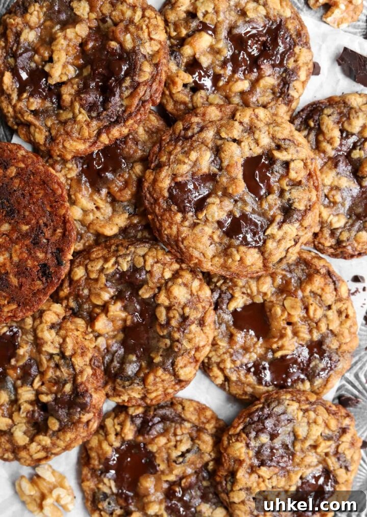 Dark Chocolate Chunk Molasses Oatmeal Cookies for Cozy Baking 2 top view of dark chocolate chunk molasses oatmeal cookies piled up on baking tray