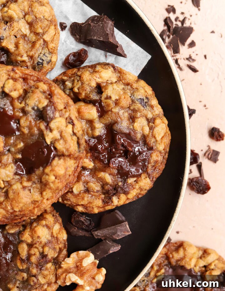 Dark Chocolate Chunk Molasses Oatmeal Cookies for Cozy Baking 10 dark chocolate chunk molasses oatmeal cookies with walnut and raisins on baking tray