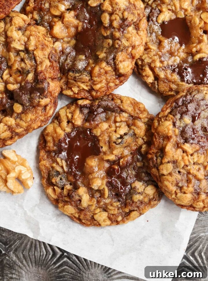 Dark Chocolate Chunk Molasses Oatmeal Cookies for Cozy Baking 3 close up of dark chocolate chunk molasses oatmeal cookies with walnut