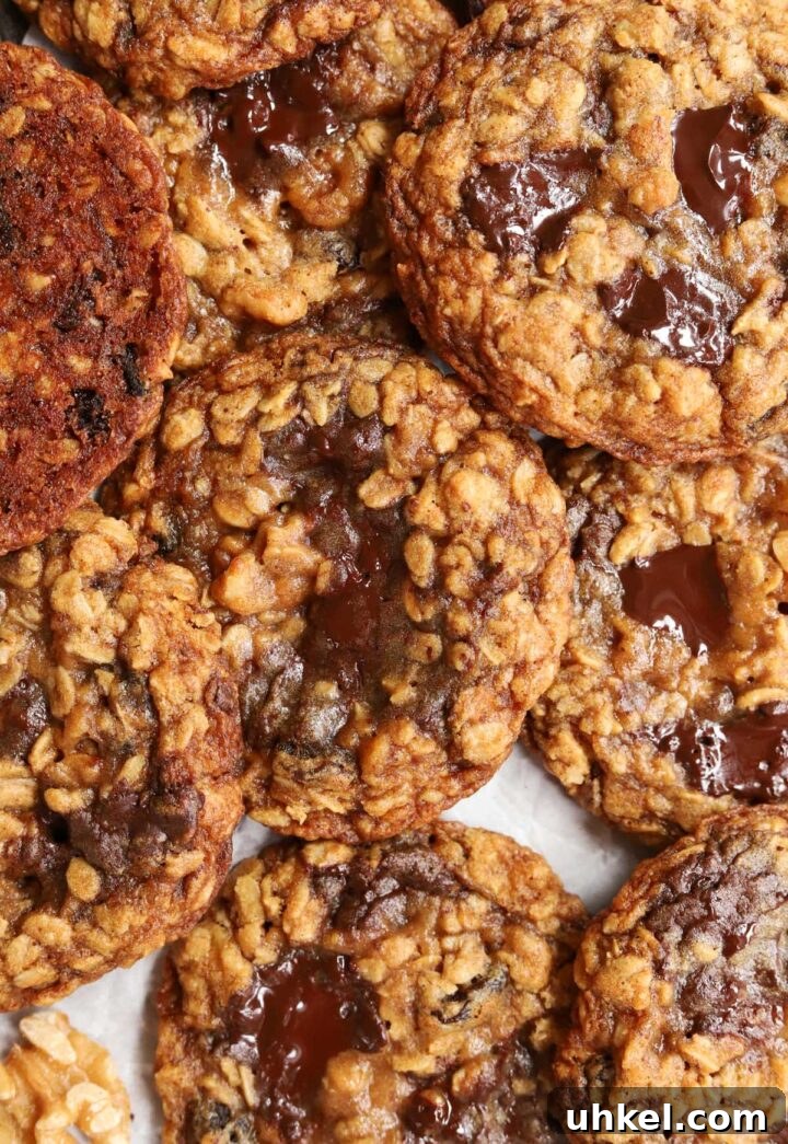 Dark Chocolate Chunk Molasses Oatmeal Cookies for Cozy Baking 5 dark chocolate chunk molasses oatmeal cookies piled up on baking tray