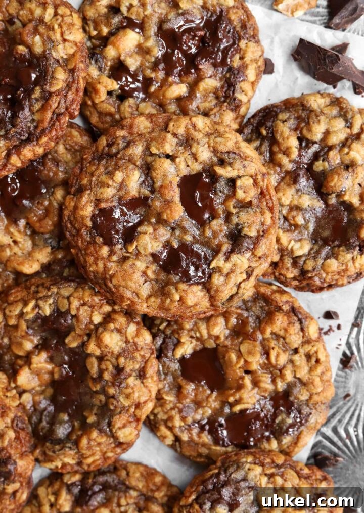 Dark Chocolate Chunk Molasses Oatmeal Cookies for Cozy Baking 6 dark chocolate chunk molasses oatmeal cookies piled up on baking tray