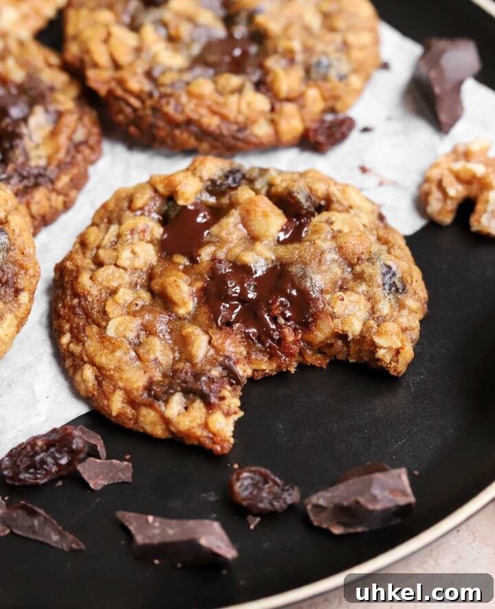 Dark Chocolate Chunk Molasses Oatmeal Cookies for Cozy Baking 8 dark chocolate chunk molasses oatmeal cookie on plate with bite